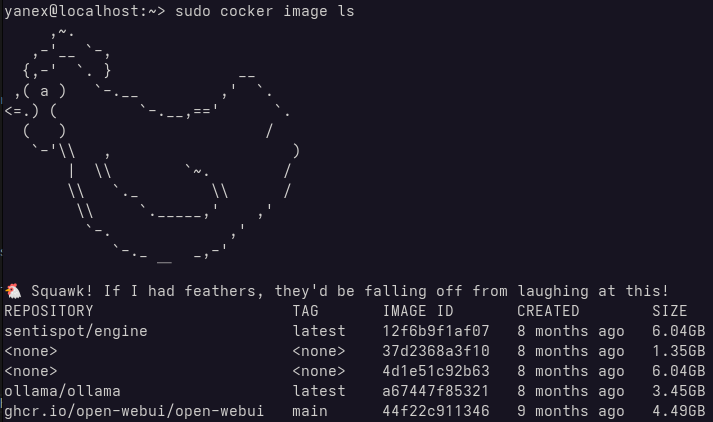 Screenshot of the terminal containing cocker command usage with an image of a chicken in ASCII display along with roast message